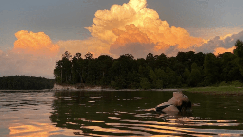 A person floats in calm water at sunset, surrounded by trees and vibrant clouds reflecting in the sky.