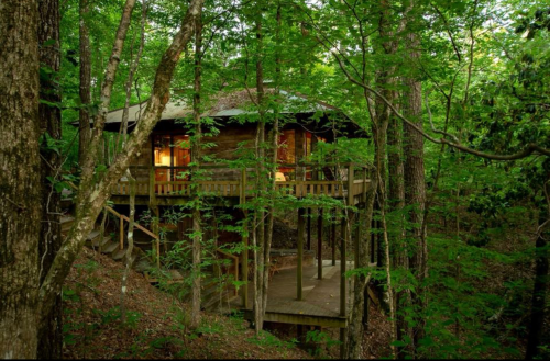 A wooden cabin elevated on stilts, surrounded by lush green trees in a serene forest setting.