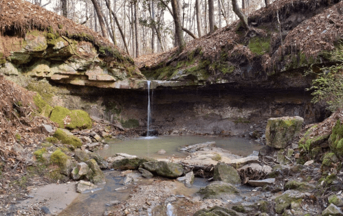 A serene forest scene featuring a small waterfall cascading into a tranquil pool surrounded by mossy rocks and trees.
