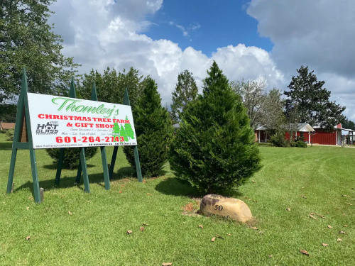 Sign for Thamley's Christmas Tree Farm & Gift Shop, with green trees and a blue sky in the background.