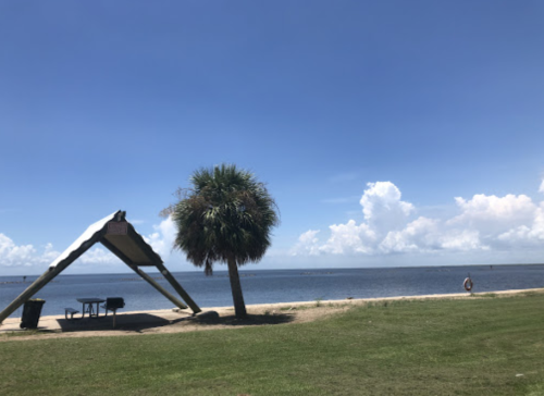 A beach scene featuring a palm tree, a shaded picnic area, and a calm water view under a clear blue sky.