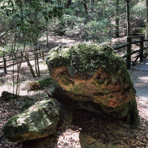 A moss-covered rock sits beside a wooded path, surrounded by trees and foliage in a serene natural setting.