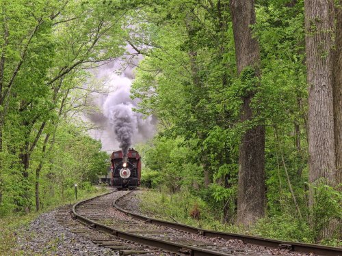 A vintage steam train chugs along a winding track surrounded by lush green trees and smoke billowing into the air.