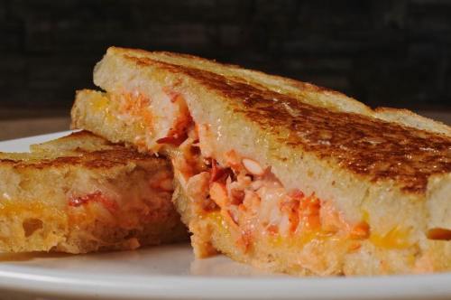 Close-up of a grilled cheese sandwich with melted cheese and lobster filling, served on a white plate.
