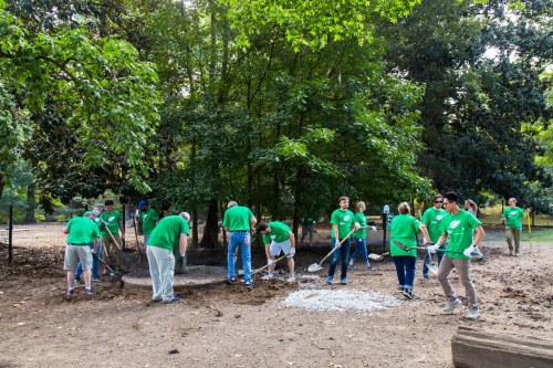 A group of people in green shirts working together to clean and maintain a park area surrounded by trees.