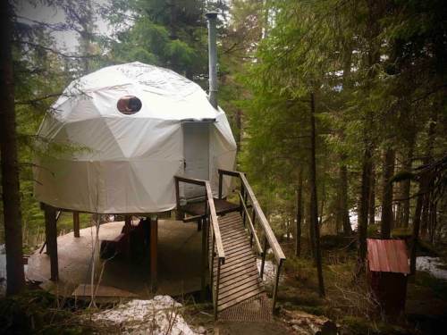 A geodesic dome cabin on a wooden platform, surrounded by trees in a forested area. A small shed is nearby.