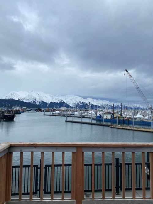 A scenic view of a harbor with boats, snowy mountains in the background, and a cloudy sky.