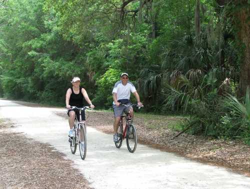 Two cyclists ride on a dirt path surrounded by lush green trees and foliage.