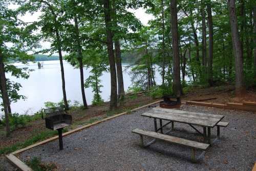 A serene lakeside picnic area with a wooden table, grill, and trees surrounding the calm water.