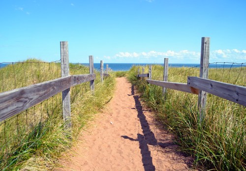 A sandy path leads to the ocean, framed by tall grass and wooden fences under a clear blue sky.