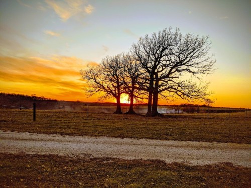 Silhouetted trees against a vibrant sunset, with a gravel road in the foreground and a serene landscape.