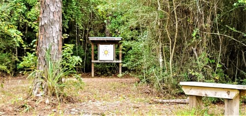 A wooden bench in a forested area, with a target board visible in the background among trees and greenery.