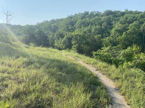 A winding dirt path through lush green grass and trees under a clear blue sky.