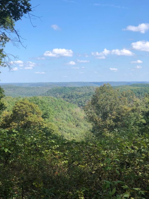 A scenic view of rolling green hills under a blue sky with fluffy white clouds.