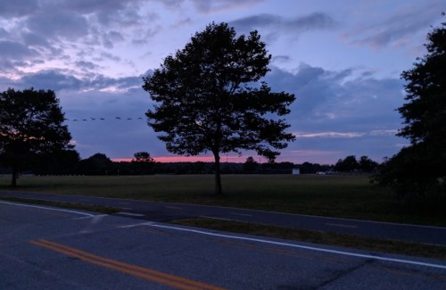 A serene twilight scene with trees silhouetted against a colorful sky and a quiet road in the foreground.