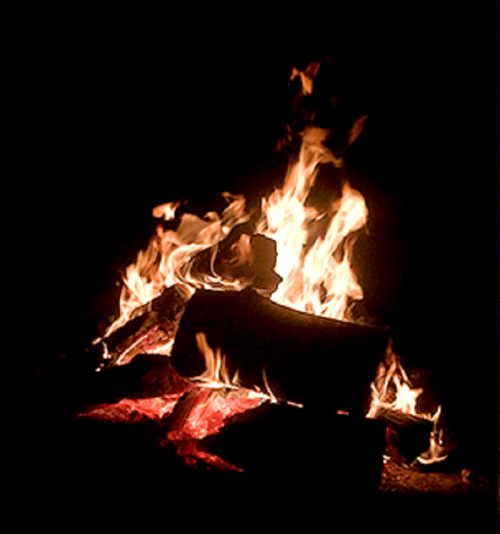 A bright campfire with flames dancing around logs, set against a dark background.