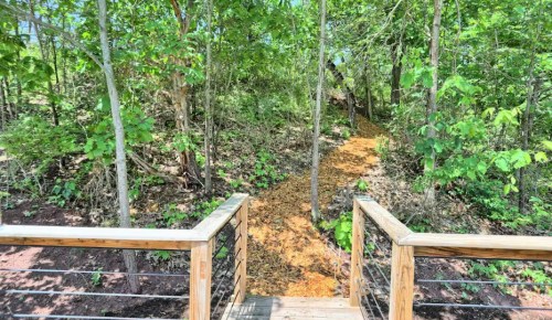 A wooden bridge leads to a forested path surrounded by lush greenery and trees.