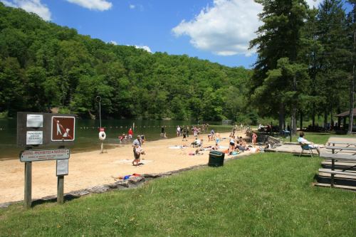 A sunny beach scene with people swimming and relaxing by a lake, surrounded by green trees and a clear blue sky.
