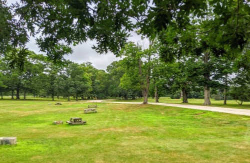 A grassy park with scattered picnic tables and a winding path, surrounded by trees under a cloudy sky.