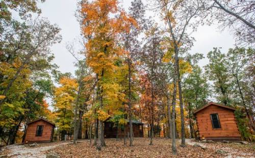 Three rustic cabins surrounded by colorful autumn trees and fallen leaves in a serene forest setting.