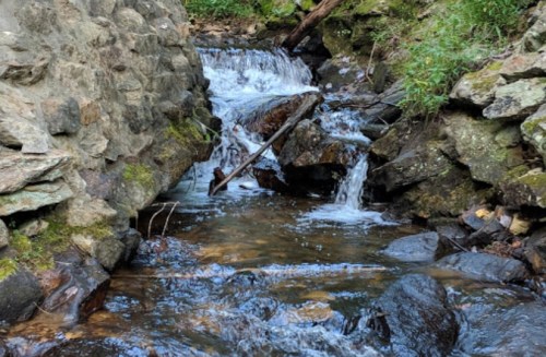 A serene stream flows between rocky banks, with gentle cascades and lush greenery surrounding the water.