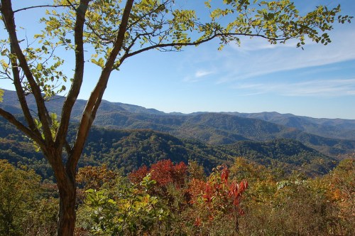 A scenic view of rolling mountains with autumn foliage under a clear blue sky. A tree is in the foreground.