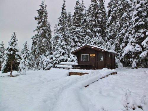 A cozy cabin surrounded by snow-covered trees, with a path leading to it in a winter landscape.