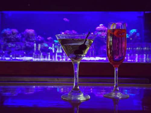 A martini and a sparkling drink sit on a bar, with a colorful aquarium glowing in the background.