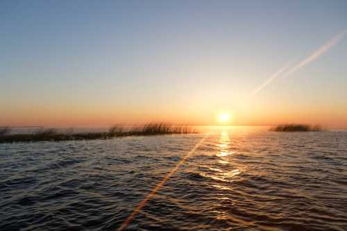 Sunset over calm waters, with silhouettes of grass in the foreground and a warm glow reflecting on the surface.