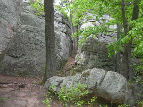 A narrow path between large rocks, surrounded by green trees and foliage in a natural setting.