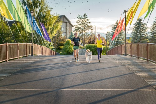 Two runners and a dog jog across a bridge, with colorful flags and trees in the background under a clear sky.
