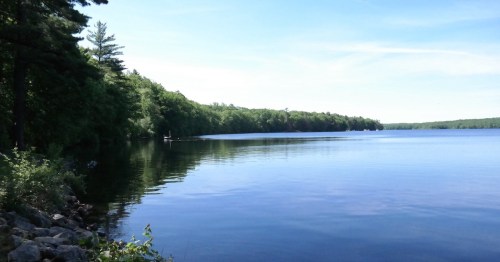 A serene lake surrounded by lush green trees under a clear blue sky, reflecting the calm water.