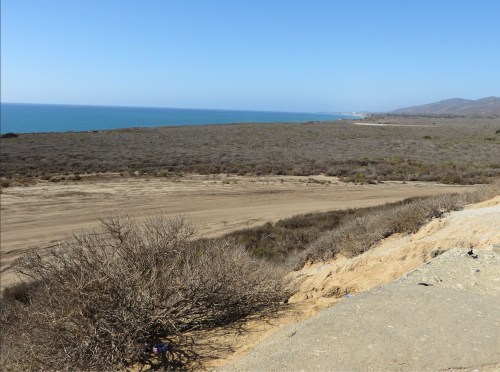 A coastal landscape featuring a sandy area, sparse vegetation, and a clear blue sky over the ocean in the distance.