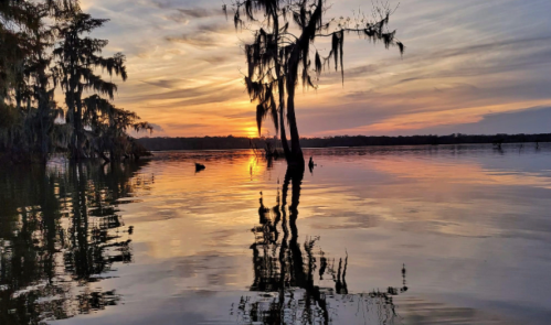 Sunset over a calm lake, with silhouetted trees and reflections on the water's surface.
