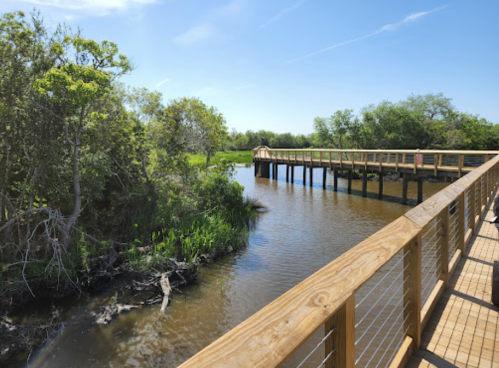 A wooden boardwalk stretches over a calm waterway, surrounded by lush greenery and trees under a clear blue sky.