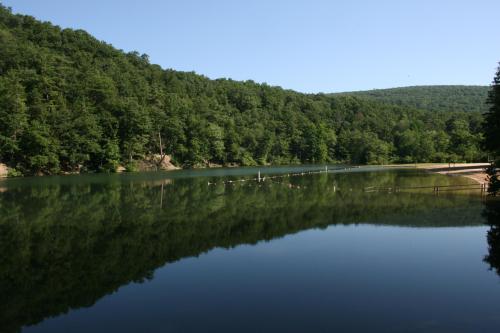 A serene lake surrounded by lush green trees, reflecting the clear blue sky and mountains in the calm water.