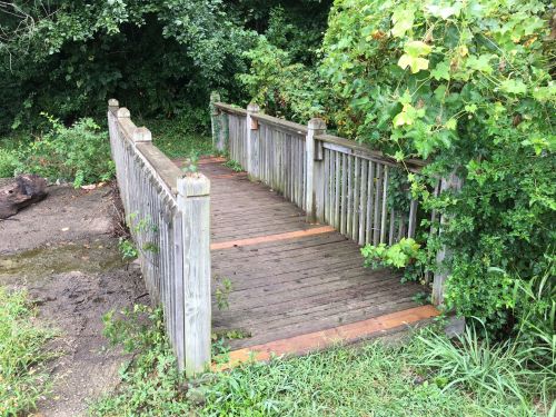 A wooden bridge surrounded by greenery, leading into a natural area with grass and trees.