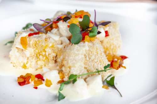 A plate of creamy dish with textured cubes, topped with colorful peppers, herbs, and a drizzle of sauce.