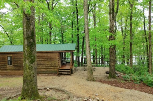 A rustic wooden cabin surrounded by lush green trees and a gravel path in a serene forest setting.