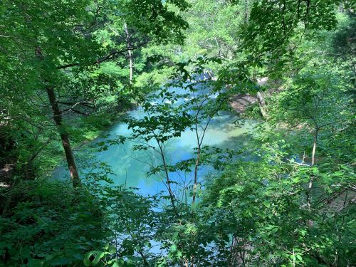 A serene river flows through lush green foliage, reflecting shades of blue and surrounded by trees.