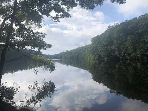 A serene lake surrounded by lush green trees, reflecting the sky and foliage on its calm surface.