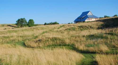 A serene landscape featuring tall grass and a house with a blue roof under a clear blue sky.