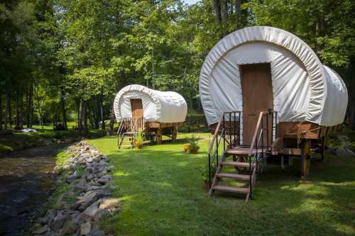 Two covered wagons on a grassy area by a stream, surrounded by trees, creating a serene outdoor setting.
