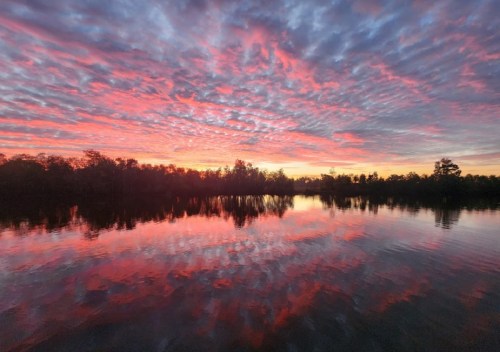 A serene sunset over a calm lake, with vibrant pink and purple clouds reflecting on the water's surface.