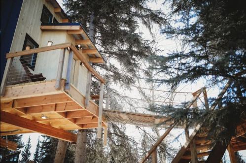 A treehouse with a wooden deck and rope bridge, surrounded by tall trees and bright sunlight.