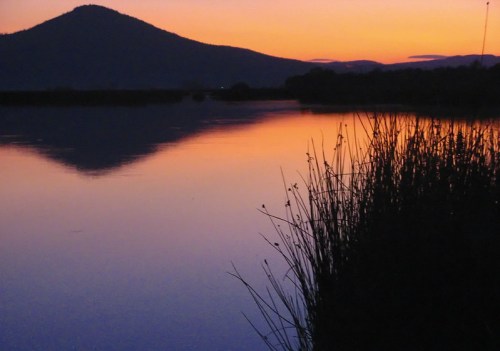 A serene sunset over a calm lake, with silhouettes of mountains and tall grasses reflecting in the water.
