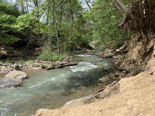 A serene river flows through a lush green forest, with rocky banks and trees lining the water's edge.