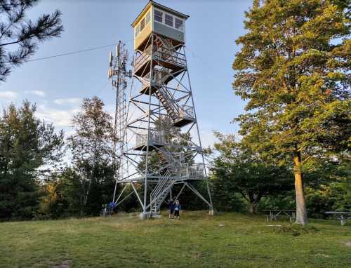 A tall observation tower surrounded by trees, with two people standing at its base on a grassy area.