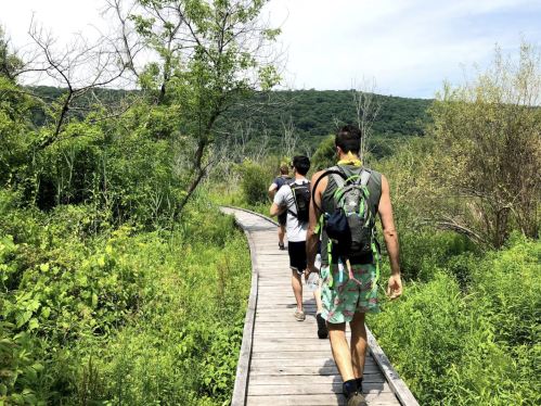 Three hikers walking along a wooden boardwalk through lush greenery on a sunny day.