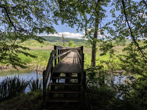 A wooden bridge leads over a calm stream, surrounded by lush greenery and blue skies with clouds in the distance.